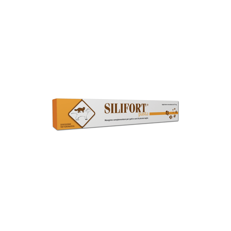 Aurora Biofarma Silifort Pasta 30 gr. -