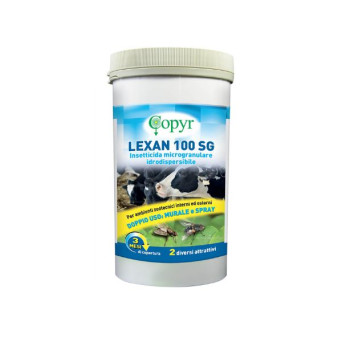 Copyr - Lexan 100 SG - 750 gr (Cavallo) - 