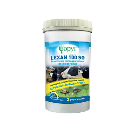 Copyr - Lexan 100 SG - 750 gr (Cavallo) - 