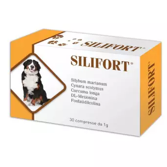 Aurora biofarma silifort 30 Tabletten 1 gr