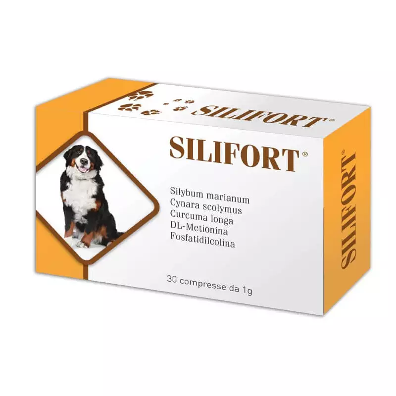 Aurora biofarma silifort 30 Tabletten 1 gr