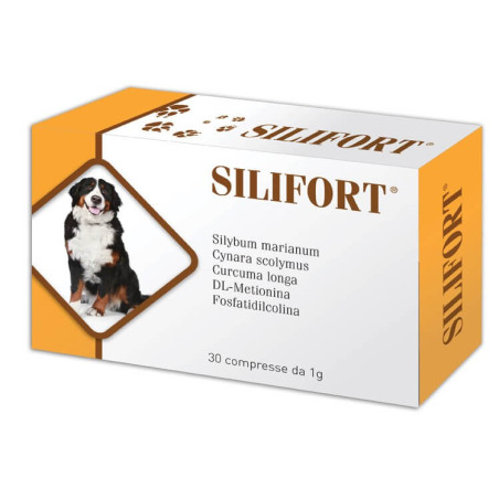 Aurora biofarma silifort 30 compresse 1 gr - 