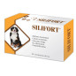 Aurora biofarma silifort 30 comprimés 1 g