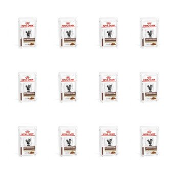 Royal Canin - Veterinary Diet Gastrointestinal Fibre Response Nass - 12x85GR (Katze) -