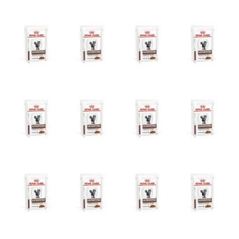 ROYAL CANIN Veterinary Diet Gastrointestinal Moderate 12 bustine da 85 gr. - 