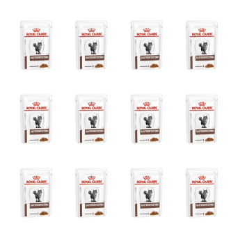 ROYAL CANIN Veterinary Diet Gastrointestinal 12 sachets of 85 gr. -