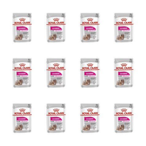 ROYAL CANIN Brot in Patè 85 gr.