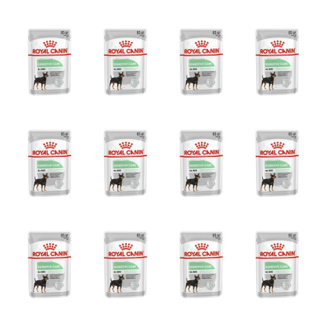 ROYAL CANIN Digestive Care Loaf in Patè 12x 85 gr.