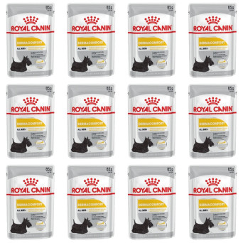 ROYAL CANIN Dermacomfort Loaf in Patè 12x 85 gr. - 