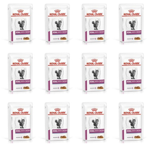 royal canin renal gatto pollo 12 x 85 gr umido