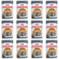 Royal Canin Adult Beauty in Soße 12 Beutel à 85 gr.