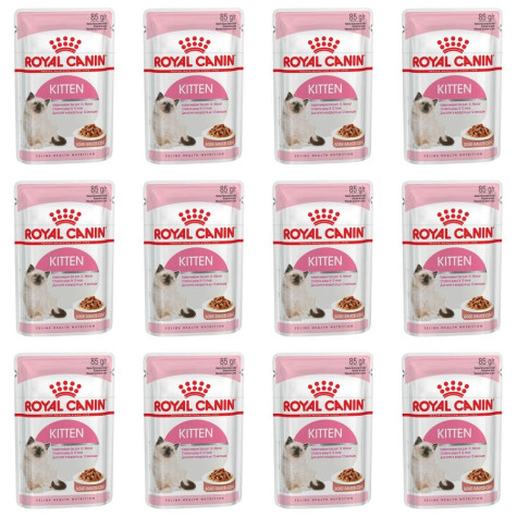 Royal Canin Kitten Sauce 12 Beutel 85 gr