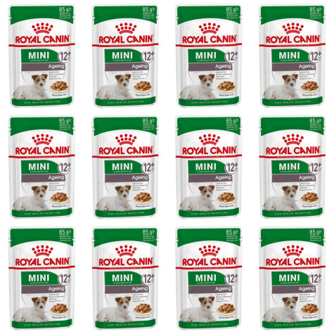 ROYAL CANIN Mini Ageing 12+ 85 gr. - 
