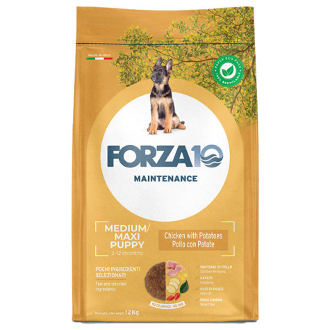 Forza10 Maintenance Puppy Junior Medium Maxi Chicken and Potatoes 12 kg - 