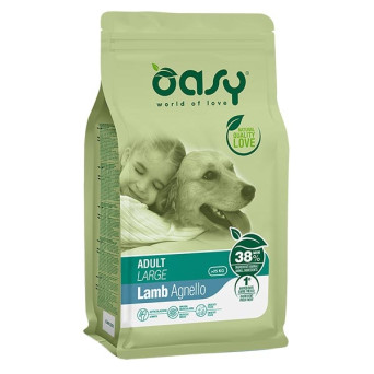 OASY Adult Large con Agneau - 12KG -