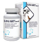Aurora biofarma legart maxi 60 comprimés 2 g
