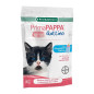 Bayer primapappa Kitten 85 gr pack of 12 sachets