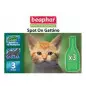 BEAPHAR PROTECTION- SPOT-ON KITTEN 3 pipettes. BEAPHAR PROTECTION- SPOT-ON KITTEN 3 pipettes.