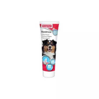 BEAPHAR TOOTHPASTE TUBE 100 gr.
