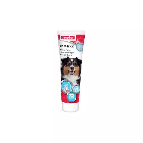 BEAPHAR ZAHNPASTA TUBE 100 gr.