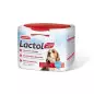BEAPHAR LACTOL DOG 250 gr. BEAPHAR LACTOL DOG 250 gr.