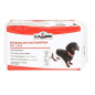 CAMON Chien Pannolini Mutandina taille. M