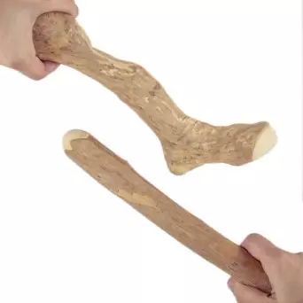 CANOPHERA GMBH - Cane Legno da Masticare Albero del Caffè Large - 