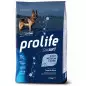 PROLIFE Smart Adult Forelle & Reis - Mittel / Groß 2,5kg PROLIFE Smart Adult Forelle & Reis - Mittel / Groß 2,5kg