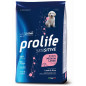 Prolife Chien Sensitive Puppy Agneau et Riz - Medium/Large 2,5 kg