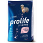 Prolife Chien Sensitive Adult Porc et Riz - Medium/Large 10 kg