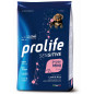 Prolife Chien Sensitive Puppy Agneau et Riz - Mini 2 kg