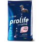 Prolife Cane Sensitive Adult Maiale & Riso - Mini 2kg