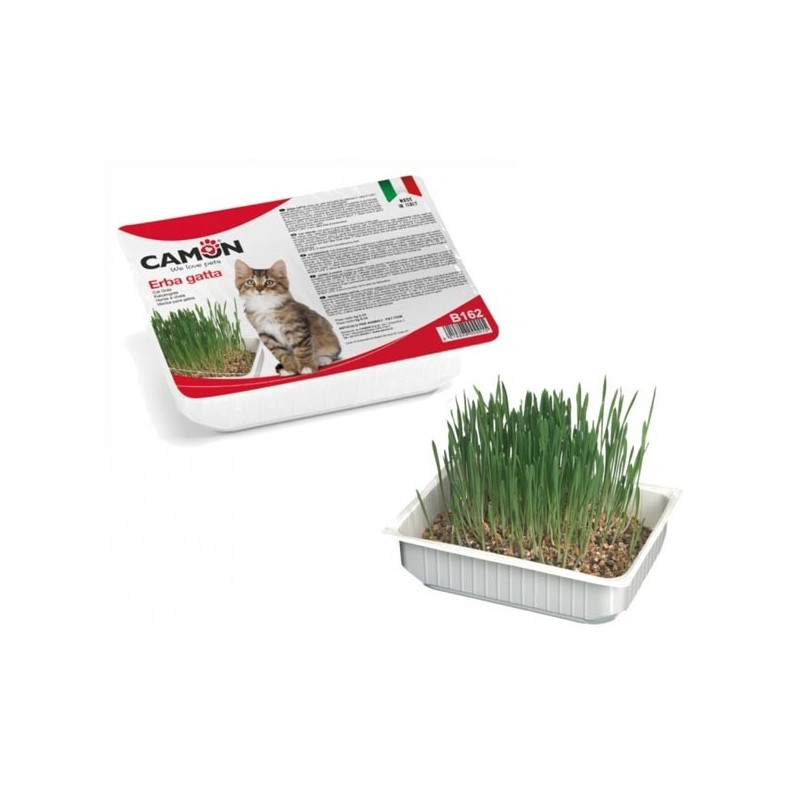 Camon - Gras für Katze