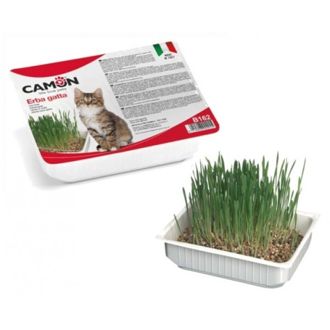 Camon - Gras für Katze