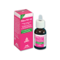 NBF Lanes Ribes Pet 80 gouttes 25 ml