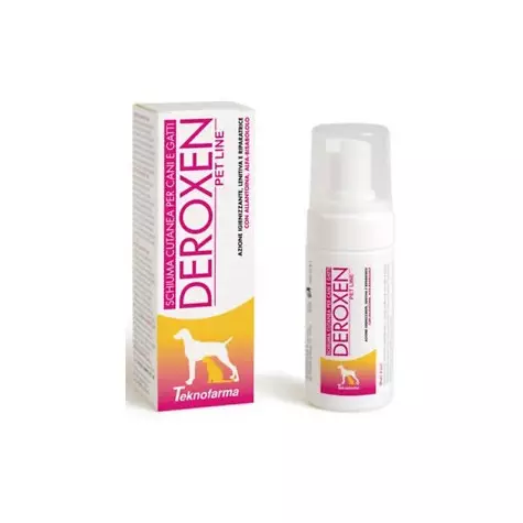 TEKNOFARMA Deroxen Sprühschaum 100 ml