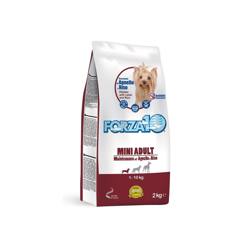 Forza10 Chien Adult Mini Maintenance Agneau Riz 2 kg