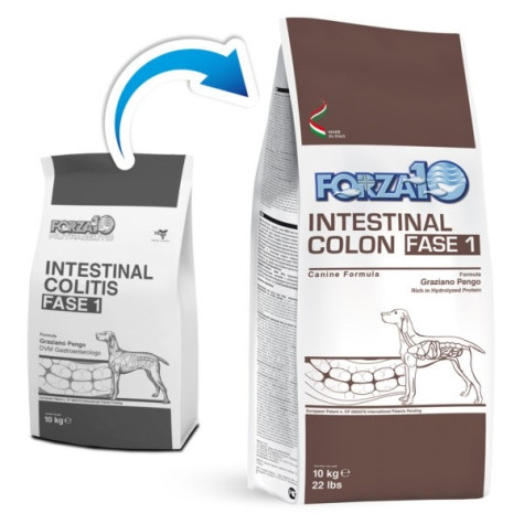 FORZA10 Active Intestinal Colon Phase 1 of 10 kg.
