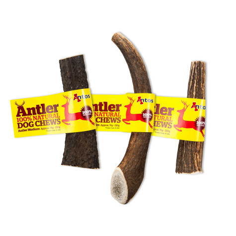 ANTOS Dog Antler Antler 100% Natural Medium