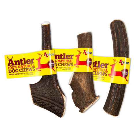 ANTOS Dog Antler Antler 100% Natural Large