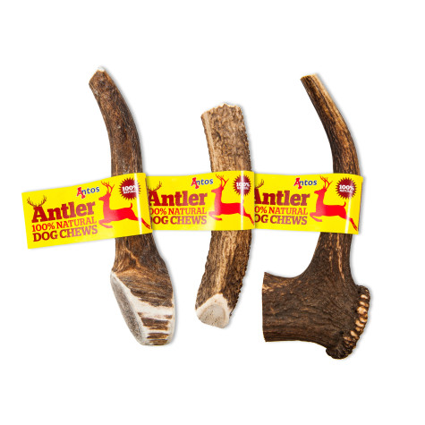 ANTOS Dog Antler Antler 100% Natural Extra Large