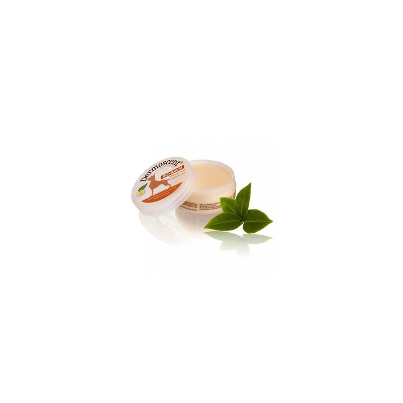 Dermoscent Bio Balm Baume pour Chien (truffe, coussinets, callosités) Dermoscent Bio Balm Baume pour Chien (truffe, coussinets, callosités)