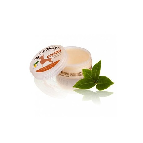 Dermoscent Bio Balm Balsamo per Cani (naso,zampe,calli) - 