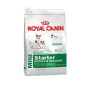 Royal Canin Mini Starter Mutter & Babydog 8,5 kg