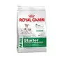 Royal Canin Mini Starter Mutter & Babydog 8,5 kg Royal Canin Mini Starter Mutter & Babydog 8,5 kg