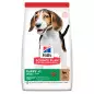 HILL'S Science Plan Medium Puppy con Agnello e Riso 2,5 kg.