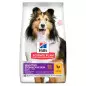 HILL'S Cane adult sensitive stomach & skin medium chicken 12 kg HILL'S Cane adult sensitive stomach & skin medium chicken 12 kg