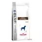 royal canin gastro intestinal cane 14 kg