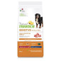 Trainer Natural Sensitive Adult Medium et Maxi porc 3 kg