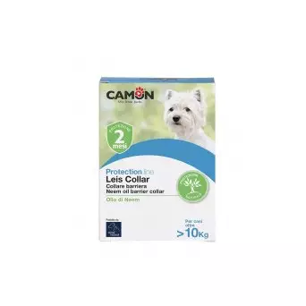 Camon - Leis großer Kragen 60 cm.